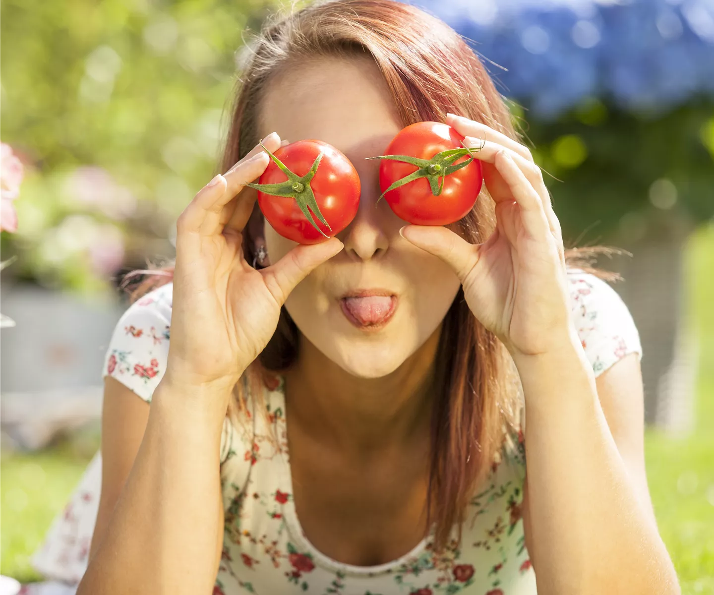 Tomatenrausch - So gelingen Anzucht, Kultur und Ernte