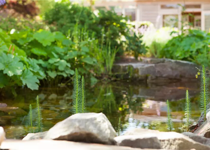 Findlinge im Garten - Sitzgelegenheit, Wasserfall oder Dekoelement