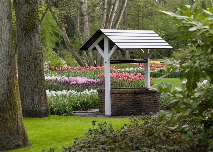 Der Brunnen im Garten: nicht nur beliebt beim Froschkönig