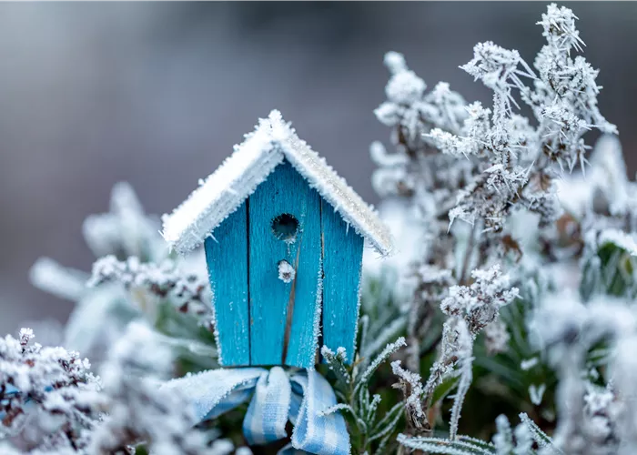 Anhaltende Schönheit: den Balkonkasten dauerhaft begrünen Anhaltende Schönheit: den Balkonkasten dauerhaft begrünen