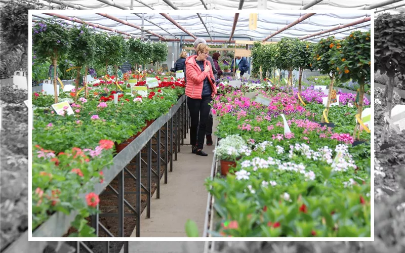 Trauer 1A Garten Ensslin