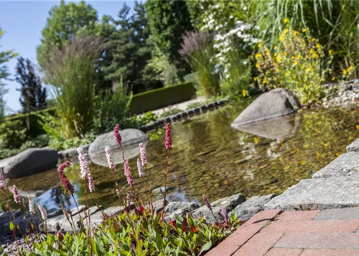 Der Wassergarten - Harmonie und Bewegung zugleich