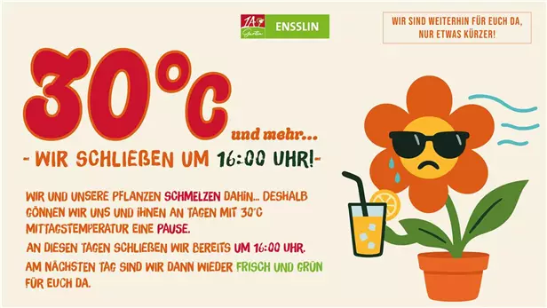 Hitzefrei_Fernseher.jpg