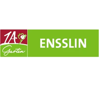 Prunus persica var. persica