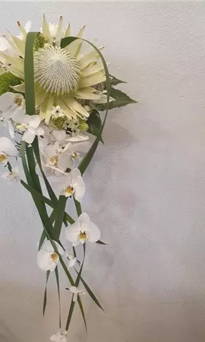 20190726_162752.jpg