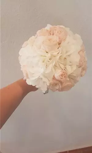 20180726_135744.jpg