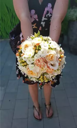 20180530_155149.jpg